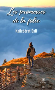 Les promesses de la folie - Recueil