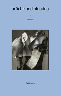 brüche und blenden - Gedichte