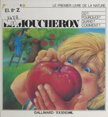 Le moucheron - Où ? Pourquoi ? Quand ? Comment ?