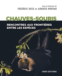 Chauves-souris - Rencontres aux frontières entre les espèces