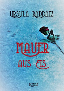 Mauer aus Eis - Roman einer Demenz
