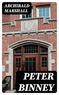 Peter Binney - A Novel