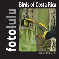 Birds of Costa Rica - fotolulu's Bildband 2