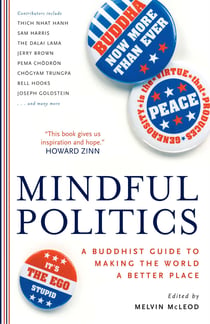 Mindful Politics - A Buddhist Guide to Making the World a Better Place
