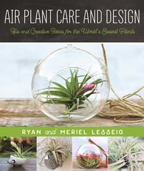 Air Plant Care and Design - Tips and Creative Ideas for the World's Easiest Plants