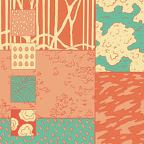 After The Rain Strange Seeds - édition colorée