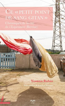 Ce « petit point de sang gitan » : Chroniques de la Cité de l'Espérance (Berriac, sud de la France)