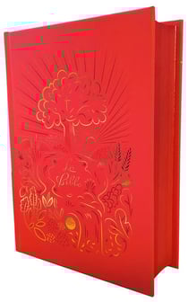 Bible catholique nouvelle francais courant