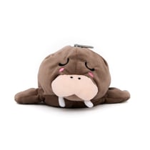 Trousse peluche 1 compartiment Mr Wonderful - Marron - Lazy Morse