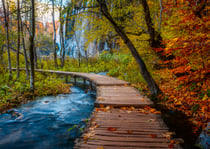 Puzzle 1000 pièces - Chemins de rêve - Chemin bosé d'automne - Ravensburger