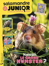 Salamandre junior n°165 : AVRIL 2026