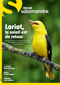 La salamandre n°293 : AVRIL 2026