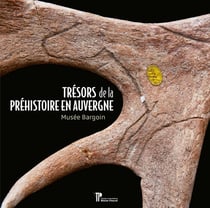 Trésors de la Préhistoire en Auvergne : Musée Bargoin