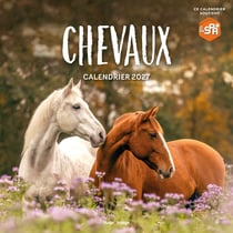 Calendrier mural : Chevaux (édition 2027)