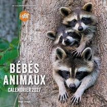Calendrier mural : Bébés Animaux (édition 2027)