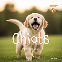 Calendrier mural : Chiots (édition 2027)