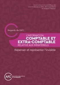 L'information comptable et extra-comptable relative aux immatériels : Repenser et représenter l'invisible