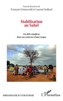 Stabilisation au Sahel : Un défi complexe dans un contexte à haut risque