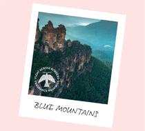 Encens Tierra Zen - Fragrance Memories Eucalyptus Mountains