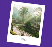 Encens Tierra Zen - Fragrance Memories Bali Rain