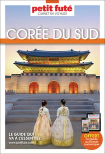 Guide coree du sud 2027 carnet petit fute