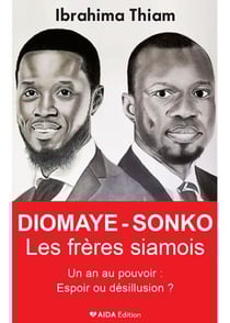 Diomaye, Sonko, Les frères siamois - Un an au pouvoir : espoir ou désillusion ?
