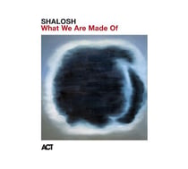 What We Are Made Of