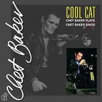 Cool cat