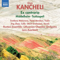 Ex contrario - Middelheim - Tsutisopeli