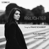 Irrlichter