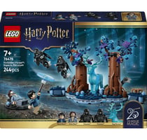 LEGO® 76475 - La Forêt Interdite : Expecto Patronum - LEGO® Harry Potter™
