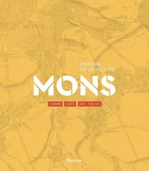 Histoire de la ville de Mons : Economie, société, santé publique