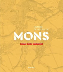 Histoire de la ville de Mons : Economie, société, santé publique