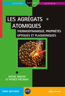 Les agrégats Tome 2 : Thermodynamique, propriétés optiques et plasmoniques