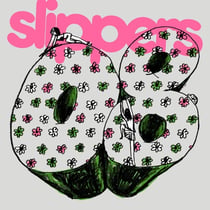 Slippers 08