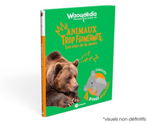 Waoupédia : Les rois de la sieste, animaux trop fainéants