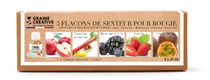 5 flacons de parfum pour bougie 27 ml « Fruit »