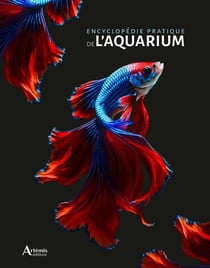Encyclopédie pratique : De l'aquarium