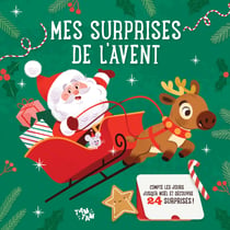 Mes surprises de l'avent