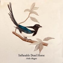 Hello Magpie