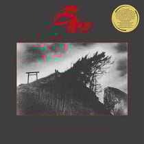 Wa Wave: New Wave Sounds From The Land of The Rising Sun, Vol. 1 - édition colorée