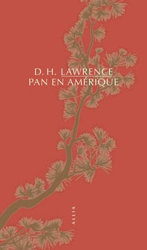Pan en Amérique