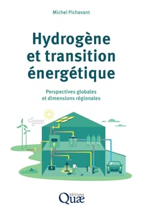Hydrogène et transition énergétique : Perspectives globales et dimensions régionales