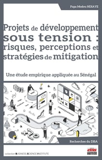 Projets de développement sous tension : risques, perceptions et stratégies de mitigation : Une étude empirique appliquée au Sénégal