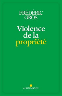 Violence de la propriété