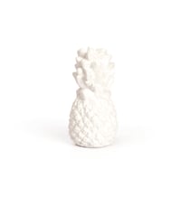 1 Plâtre Ananas