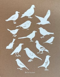 Carnet A4 Oiseaux - Zoé de Las Cases