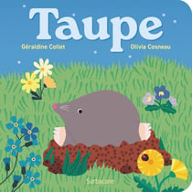Taupe