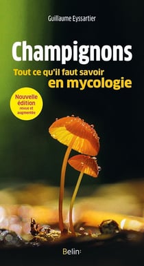 Champignons, tout ce qu'il faut savoir en mycologie