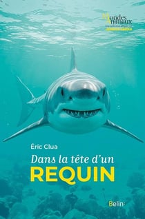 Dans la tête d'un requin